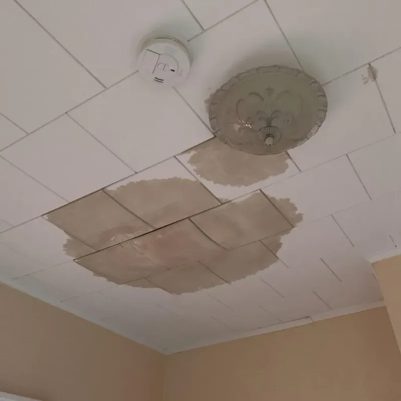 Ceiling Water Damage Repair in Red Lion, PA