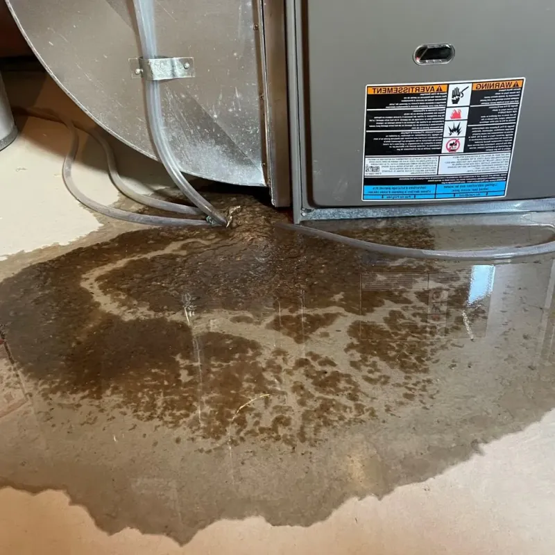 Pipe Burst and Leak Restoration in Red Lion, PA